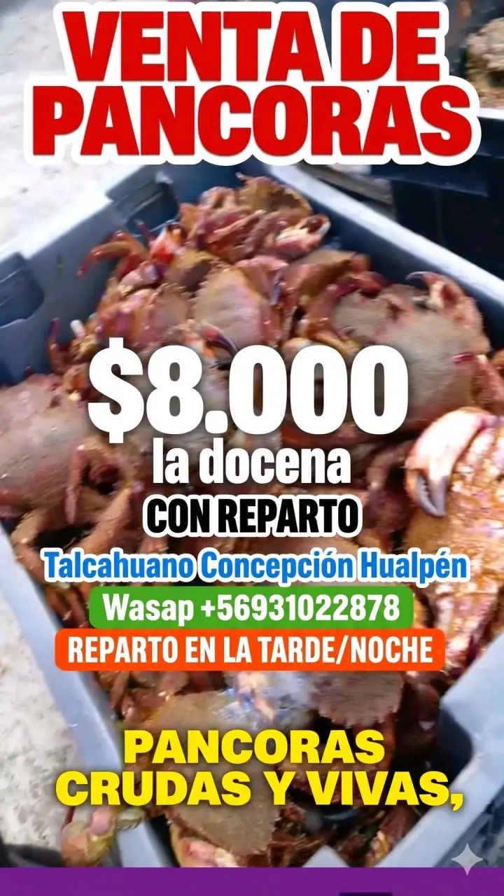 Locos grandes frescos por docena - 6