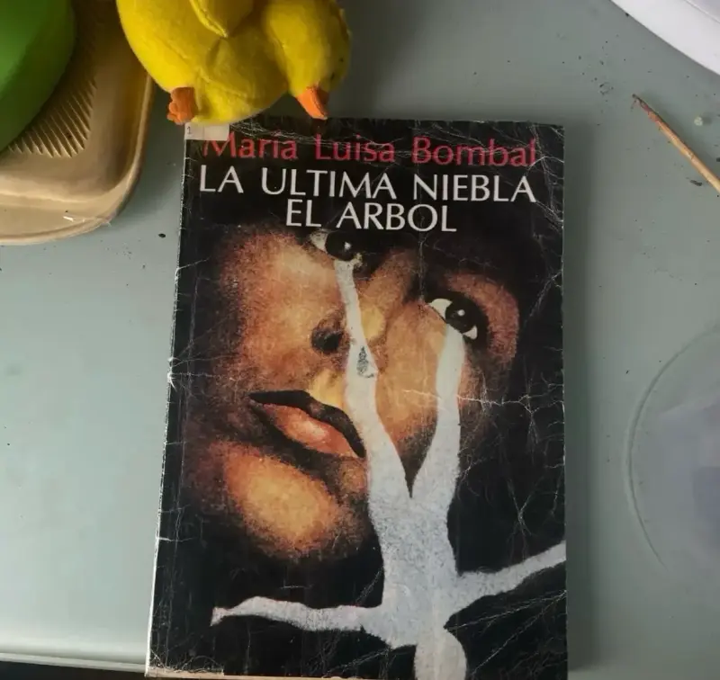 $1000 / Papelucho y la ultima niebla - 2