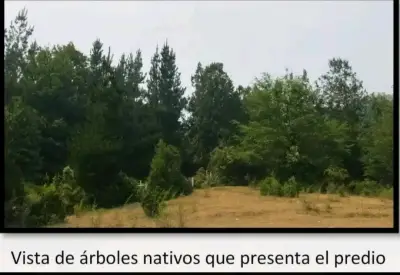 Terreno en venta - miniatura 2
