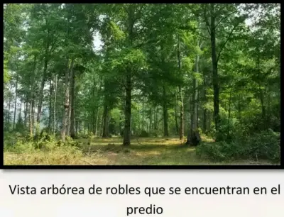 Terreno en venta - miniatura 3