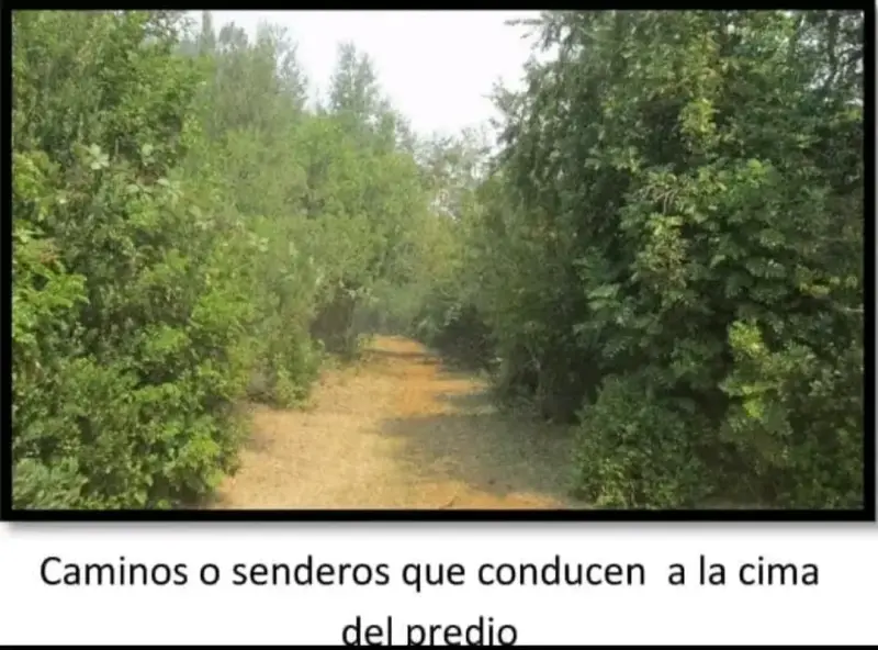Terreno en venta - 5