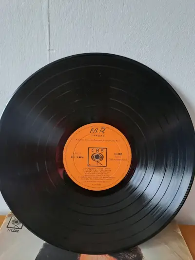 Vinilo LP de Sandro con portada original - miniatura 4