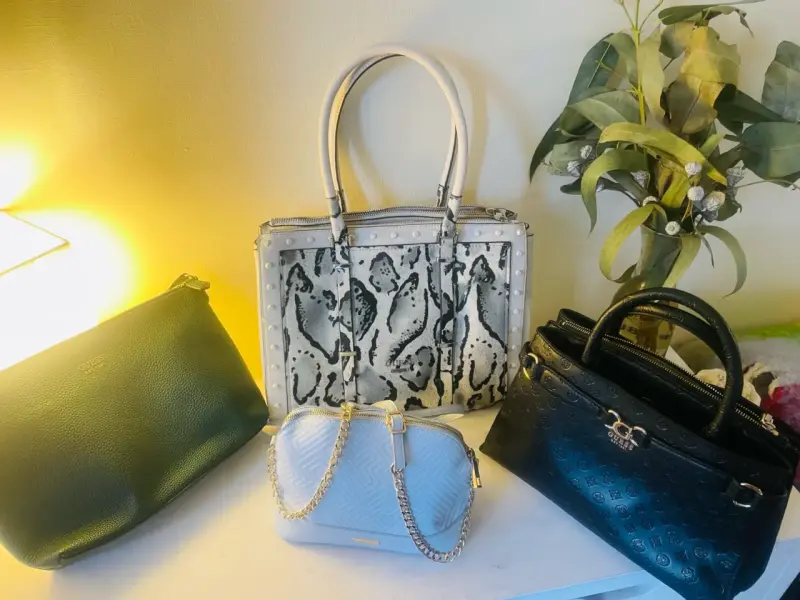 Set de carteras Guess & Aldo - 1