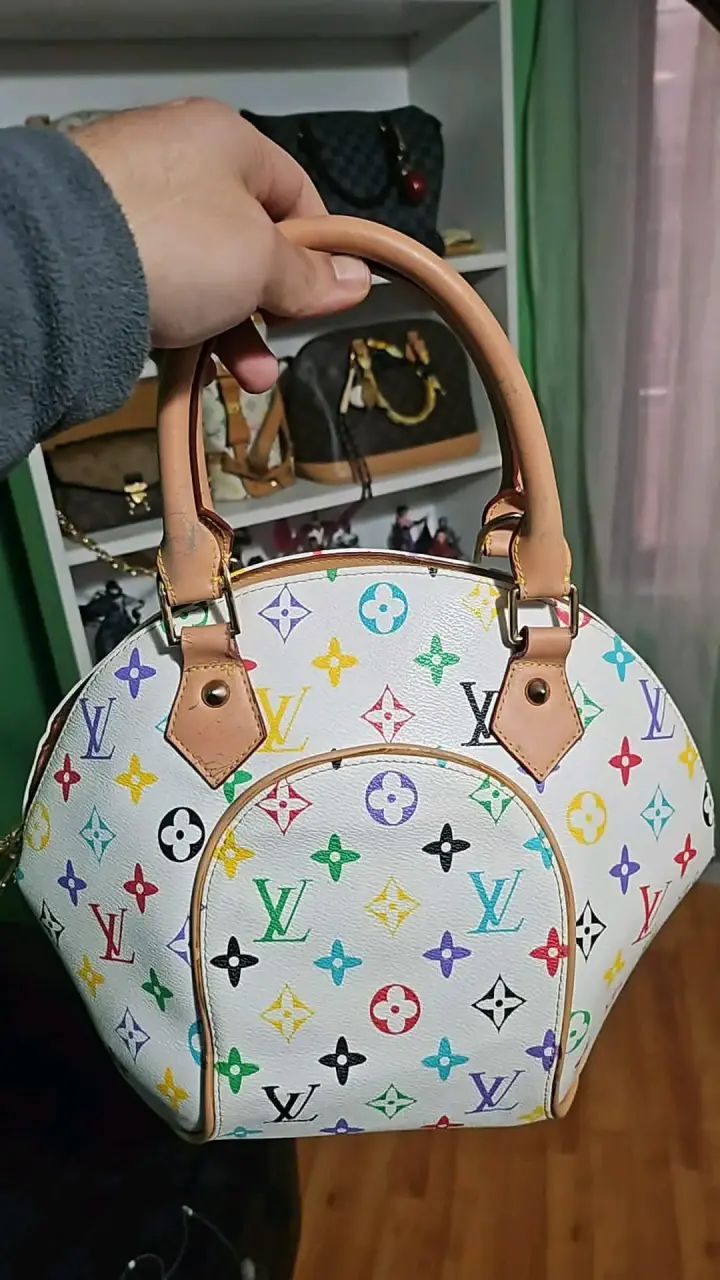 Bolso Louis Vuitton multicolor de cuero
