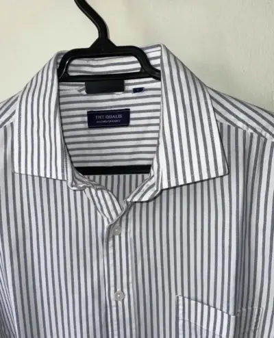 Camisa de vestir a rayas The Quail - miniatura 2
