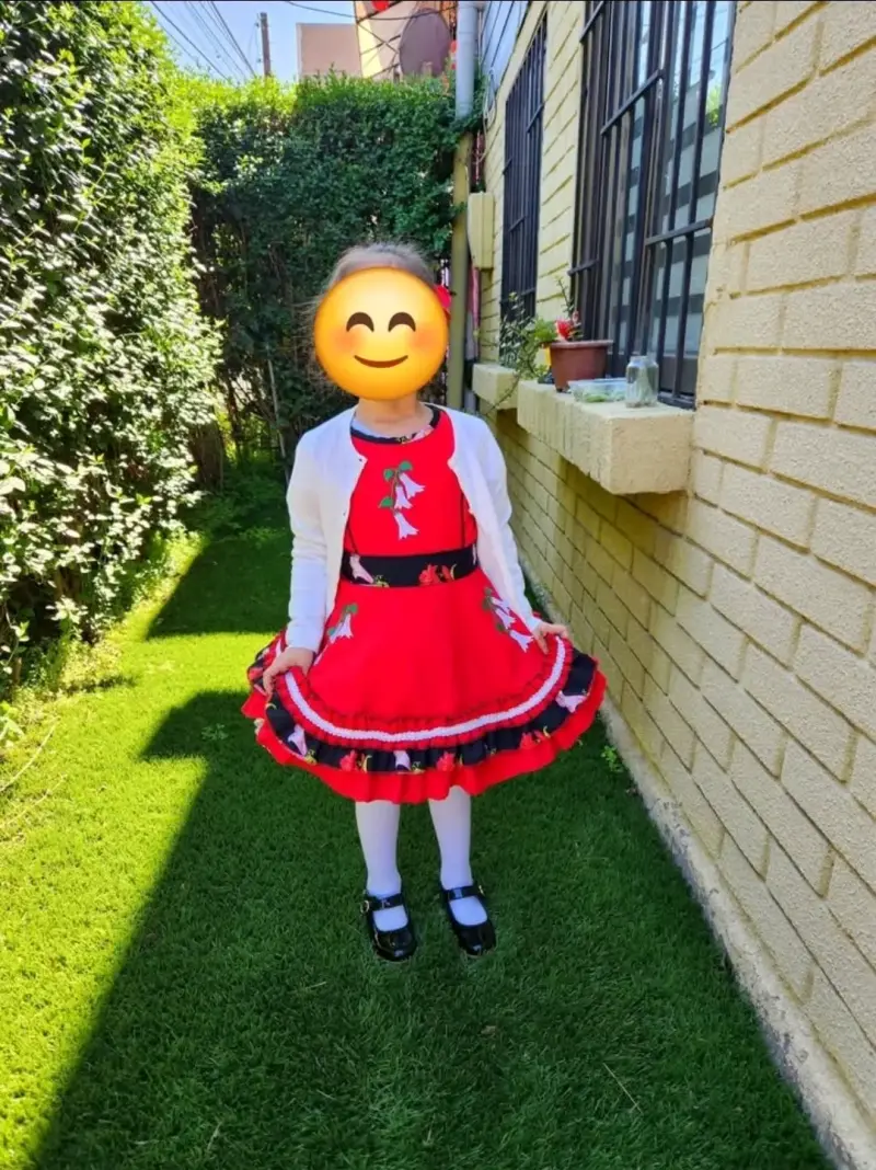 Lindo vestido de huasa - 2