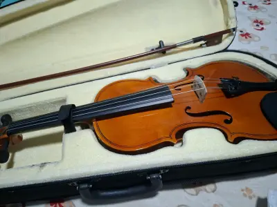 Violín acústico con estuche rígido - miniatura 1