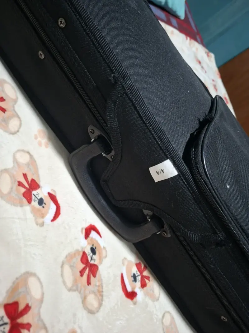 Violín acústico con estuche rígido - 2