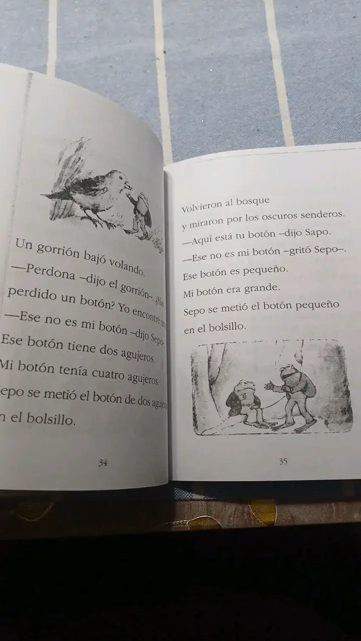 Libro infantil 'Sapo y Sepo son amigos' - 2