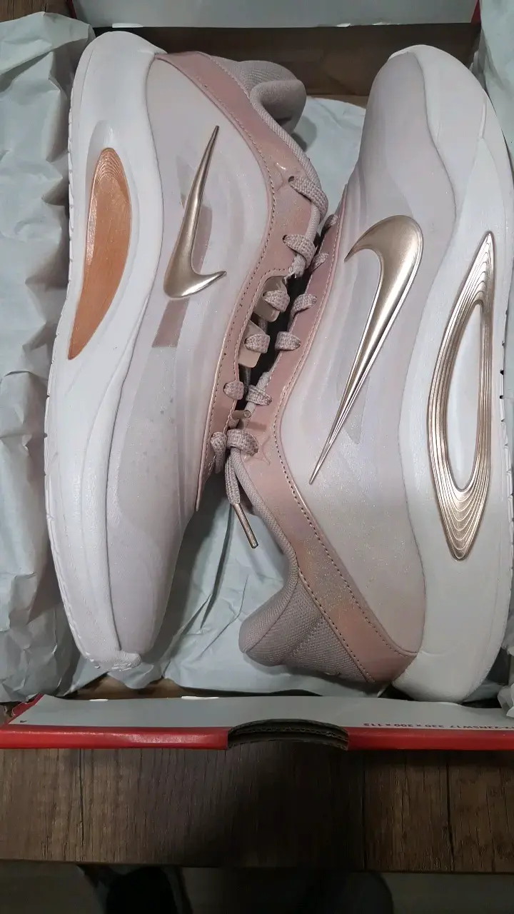 Zapatillas deportivas Nike A Onerosa - 1
