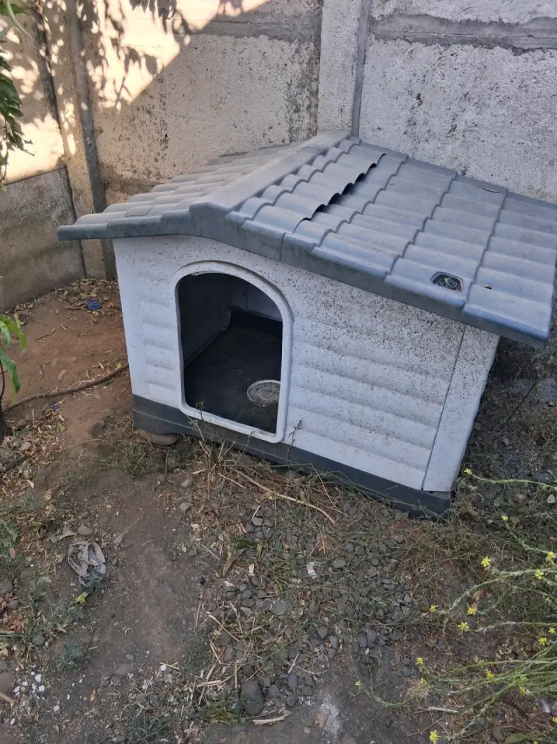 Casa para perro de plástico resistente