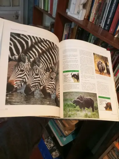 Libro 'El Mundo de los Animales' Océano - miniatura 2