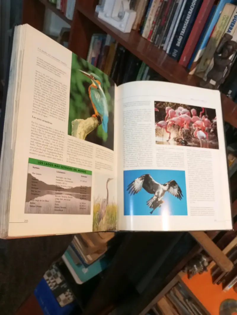 Libro 'El Mundo de los Animales' Océano - 3