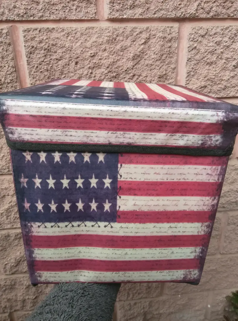 Caja organizadora con diseño bandera americana - 1