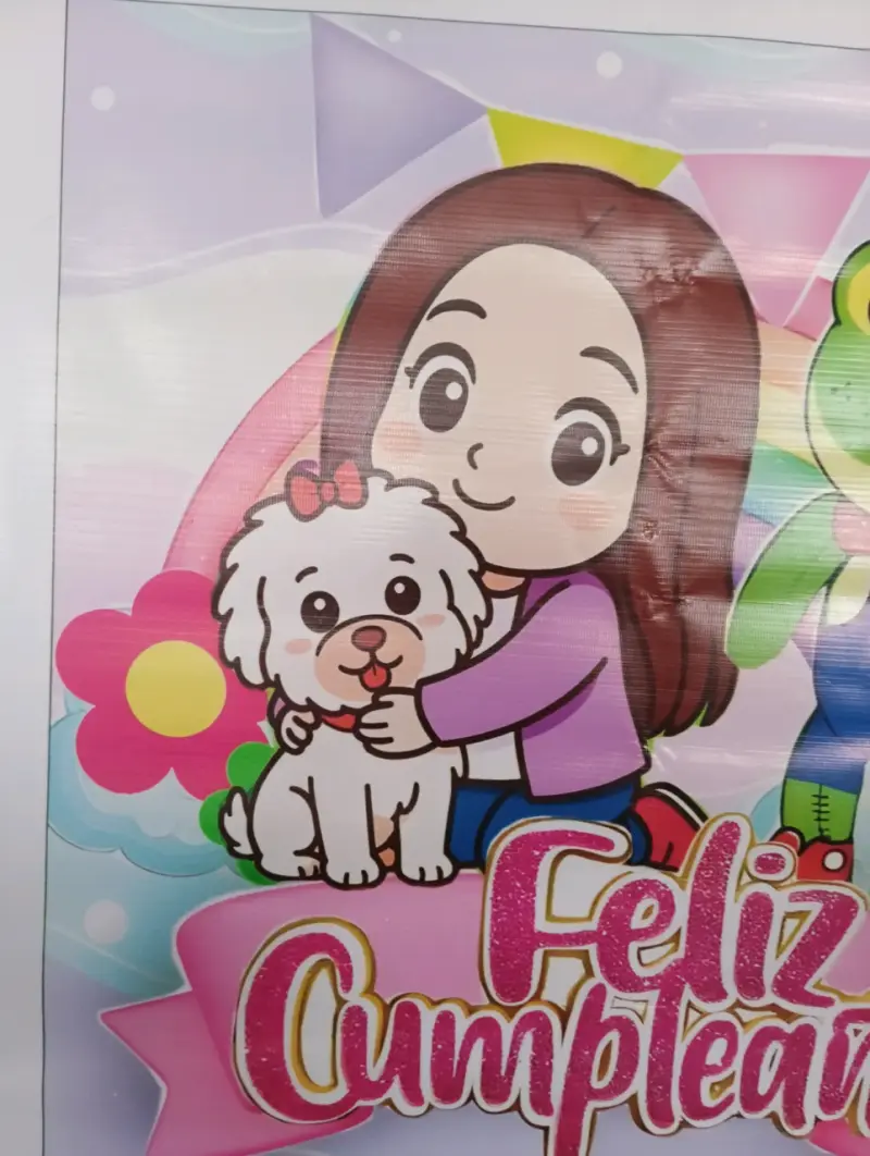 Afiche de cumpleaños con personajes de Lara Campos - 3