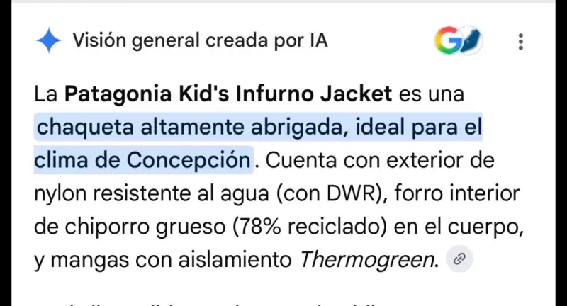 Chaqueta Patagonia marrón con forro de lana - 4