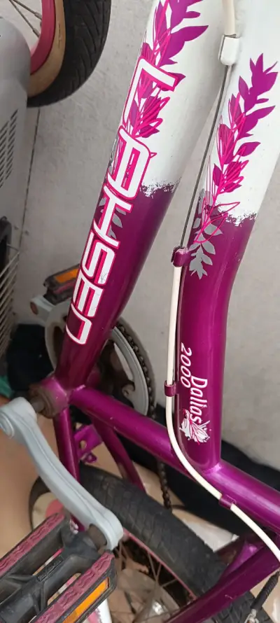 Bicicleta Lahsen Dallas 2000 morada aro 20 - miniatura 1