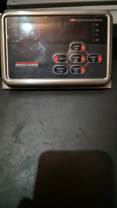 Indicador de peso Rice Lake 880 - miniatura 1