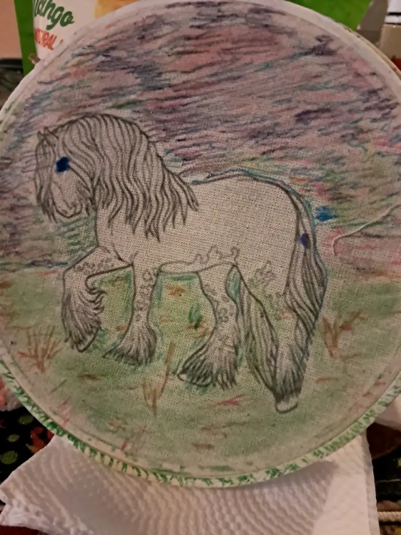 PINTURA de caballo en bastidor - 2