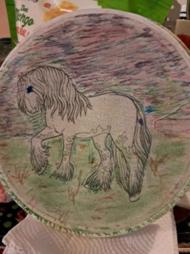 PINTURA de caballo en bastidor - 4