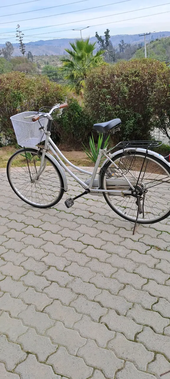 Bicicleta urbana de paseo plateada - 3