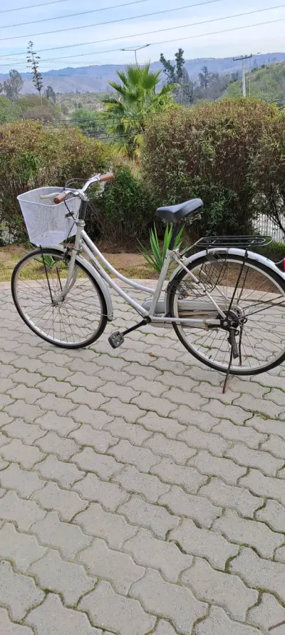 Bicicleta urbana de paseo plateada - miniatura 3