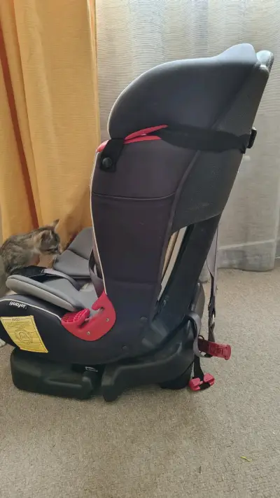 Silla de auto Infanti gris para bebé - miniatura 3
