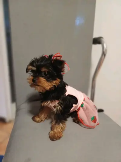 Vestido rosa con diseño de frutillas Talla Xs - miniatura 2