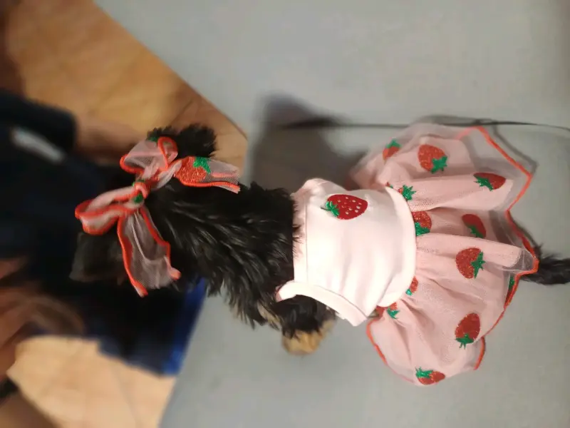 Vestido rosa con diseño de frutillas Talla Xs - 3
