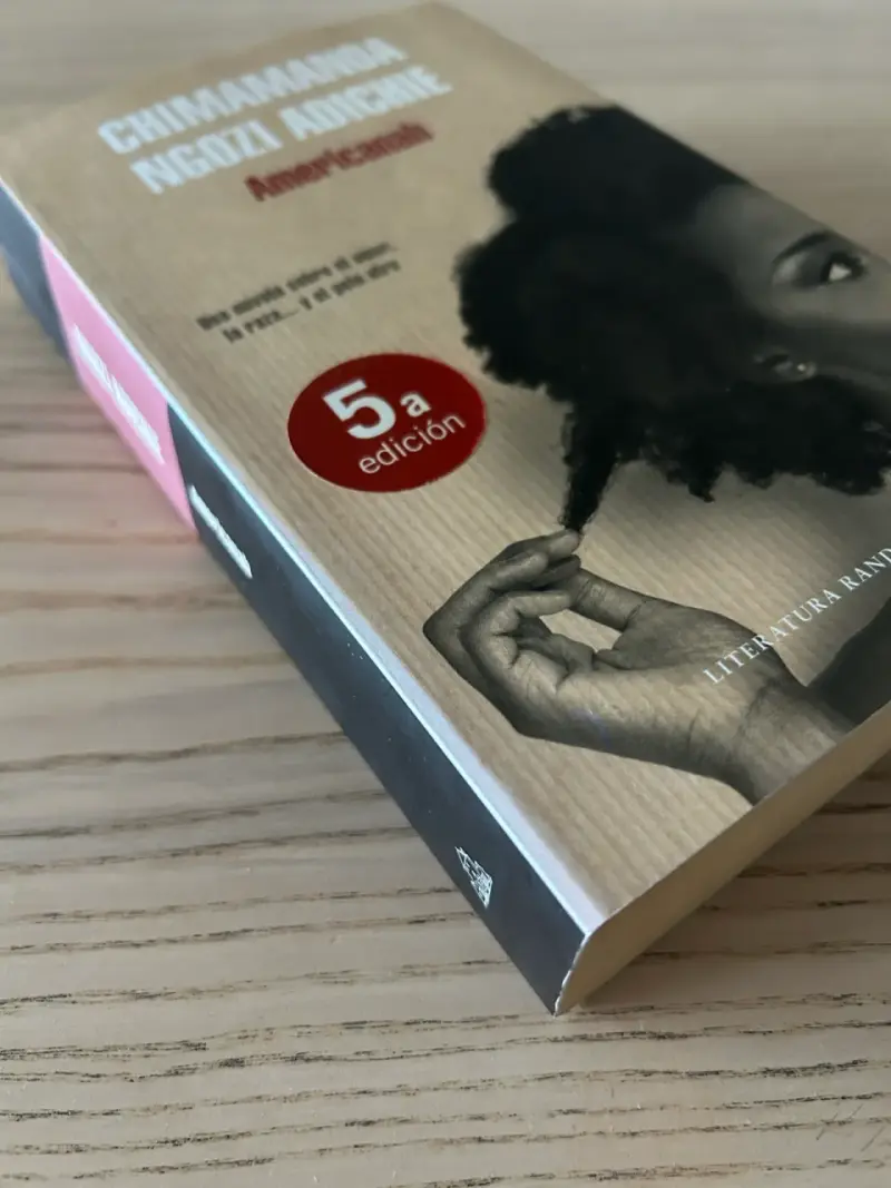 Libro 'Americanah' de Chimamanda Ngozi Adichie - 3