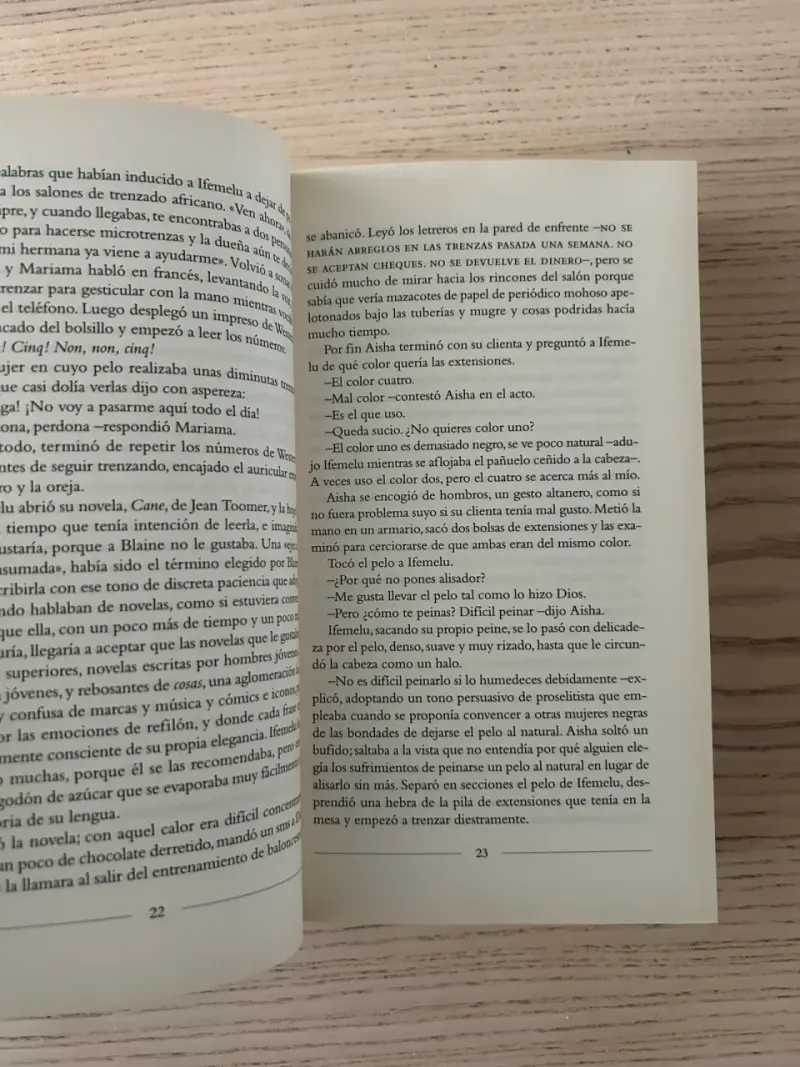 Libro 'Americanah' de Chimamanda Ngozi Adichie - 4