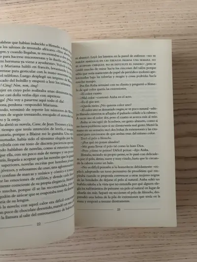 Libro 'Americanah' de Chimamanda Ngozi Adichie - miniatura 4