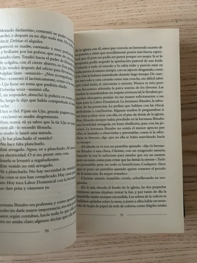 Libro 'Americanah' de Chimamanda Ngozi Adichie - 5