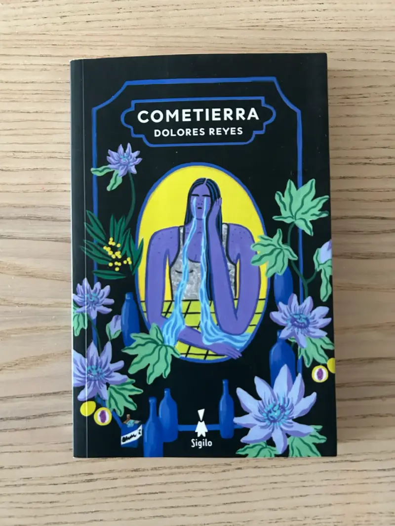 Libro 'Cometierra' de Dolores Reyes - 1