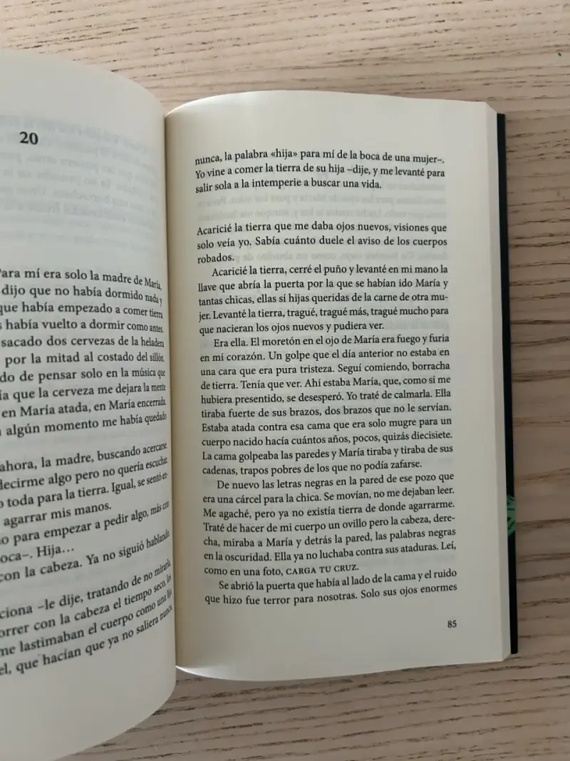 Libro 'Cometierra' de Dolores Reyes - 5