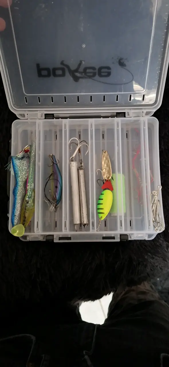 Caja de pesca con accesorios variados - 6