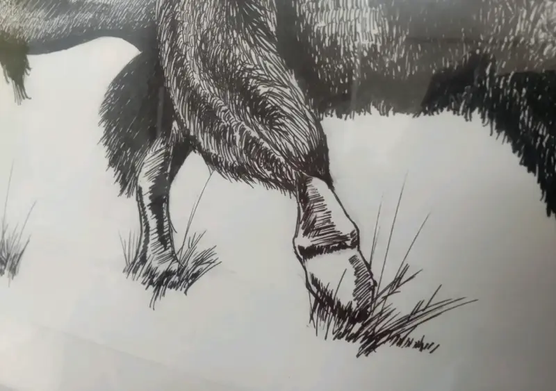 Cuadro con marco de madera y dibujo de bisonte - 2