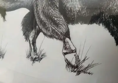 Cuadro con marco de madera y dibujo de bisonte - miniatura 2