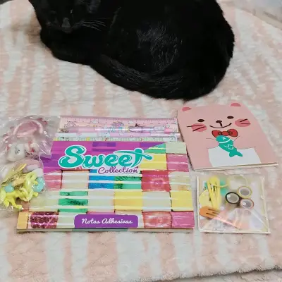 Set de papelería - miniatura 1