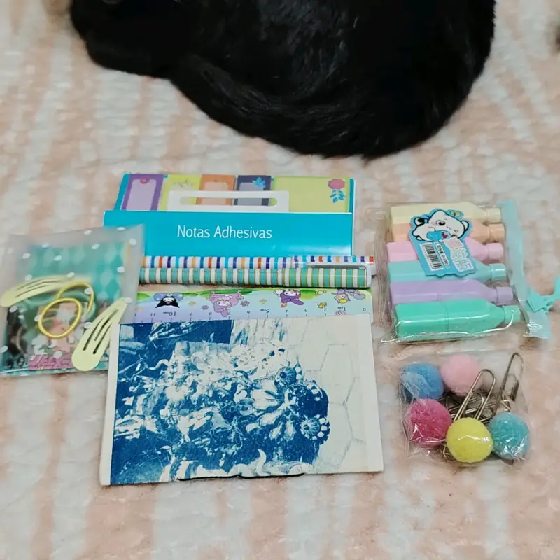Set de papelería - 2