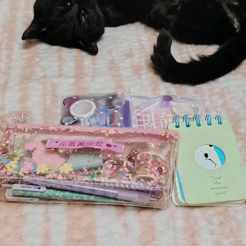 Set de papelería kawaii - 2