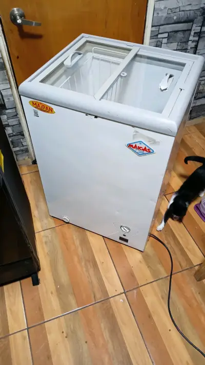 Congelador Maigas de puerta deslizante - miniatura 1