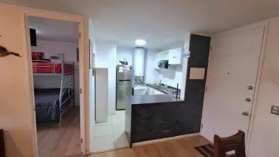 DEPARTAMENTO ARRIENDO TEMPORADA PAPUDO - miniatura 5