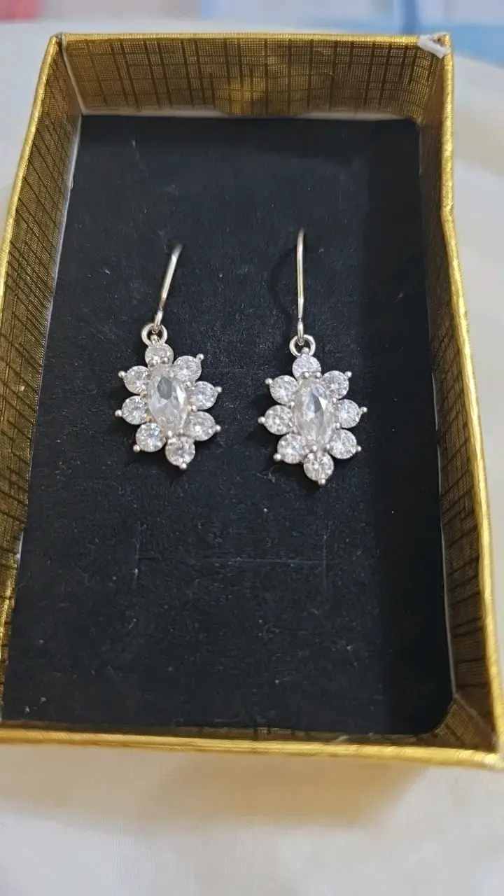 Elegantes aros de plata con circonitas - 1