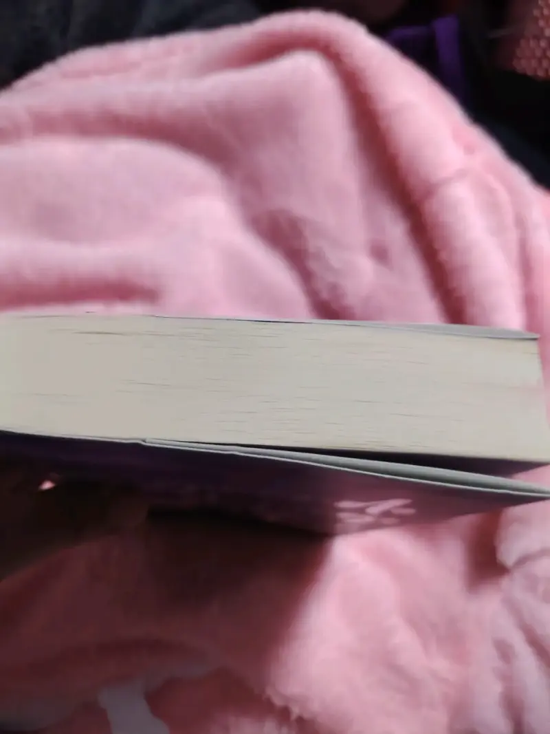 Libro 'Siguiendo el juego' de Liz Tomforde - 3