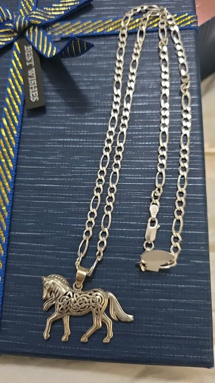 Collar de caballo en cadena plateada - 2