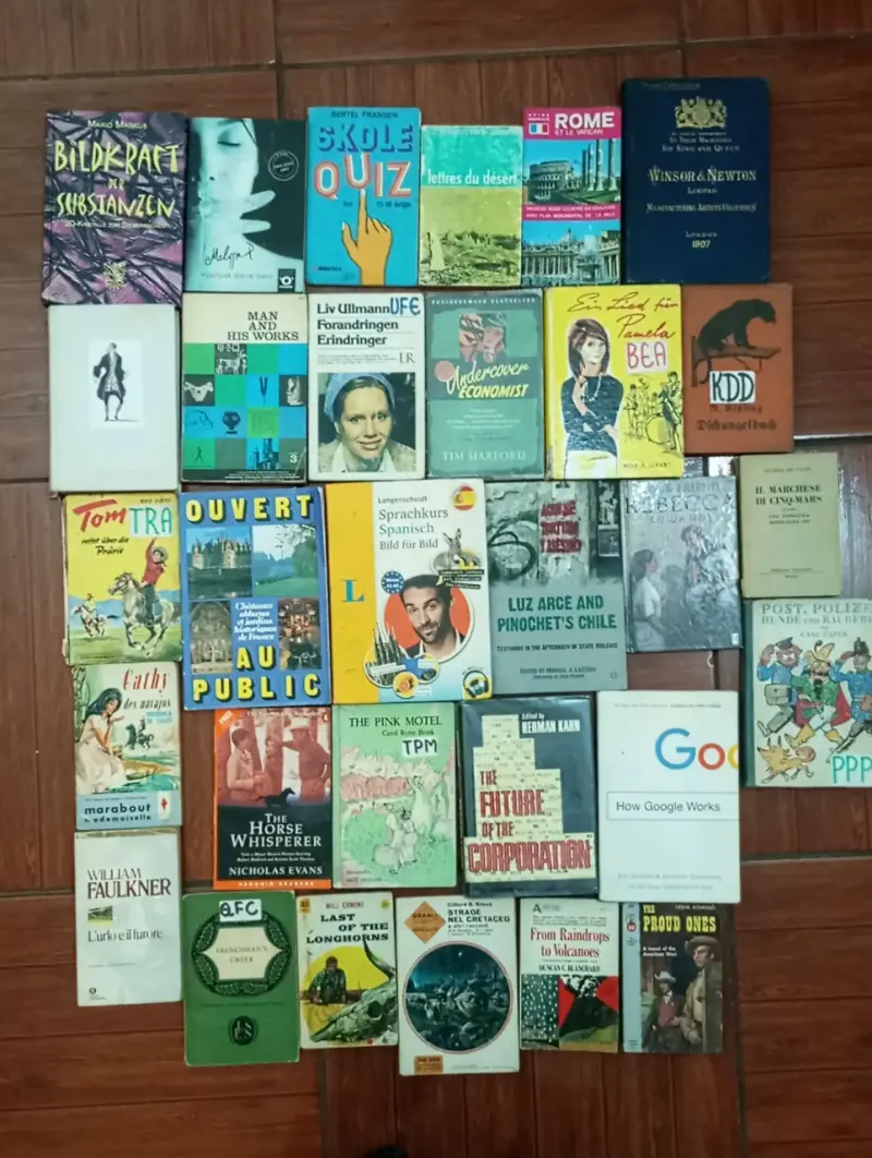 Lote de libros variados en diferentes idiomas - 1