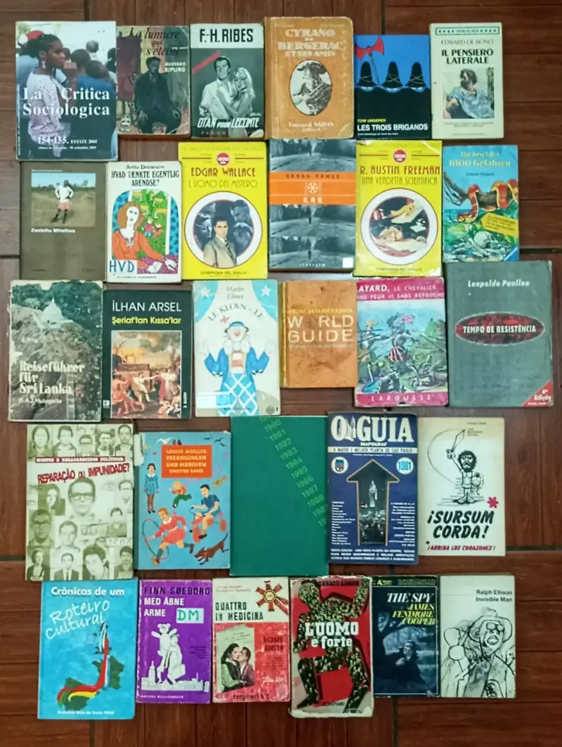 Lote de libros variados en diferentes idiomas - 2