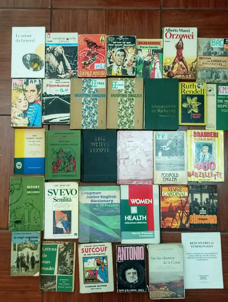 Lote de libros variados en diferentes idiomas - 3