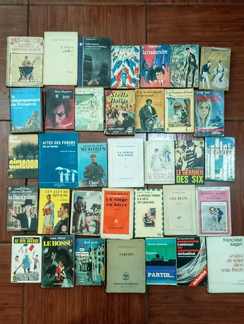 Lote de libros variados en diferentes idiomas - 4